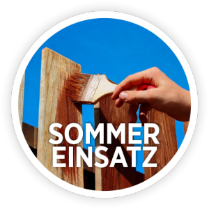 160516_Sommereinsatz-Logo FINAL
