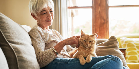 Frau sitzt auf Sofa und streichelt ihre Katze – Haustiere in der Mietwohnung