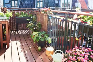 Insektenfreundlicher Balkon im Sommer
