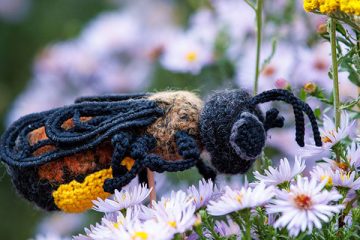 Häkeltier Marit Mauerbiene – WWF-Insektenentdecker